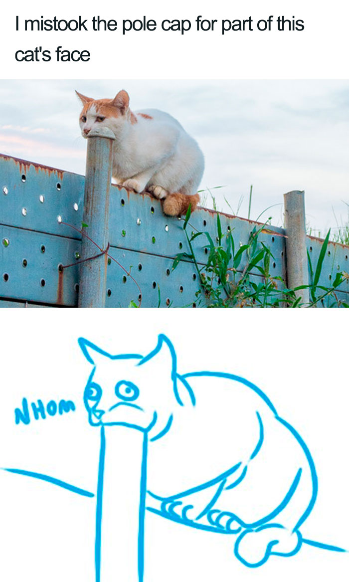 Potret ilusi optik hewan Borepanda.com Potret ilusi optik hewan Borepanda.com