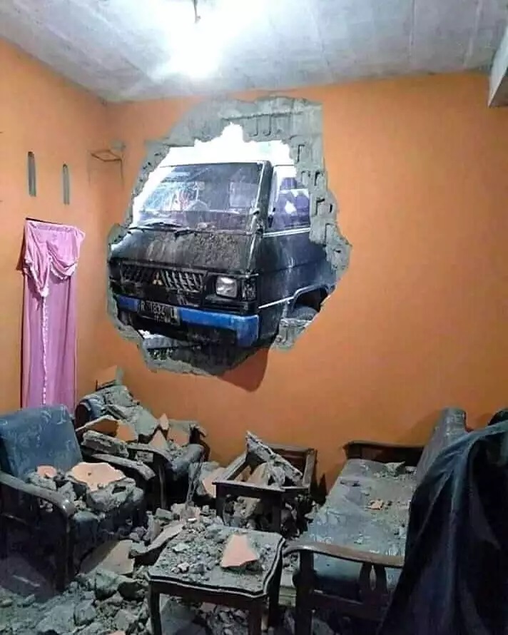 Momen apes di halaman rumah Berbagai sumber Momen apes di halaman rumah Berbagai sumber