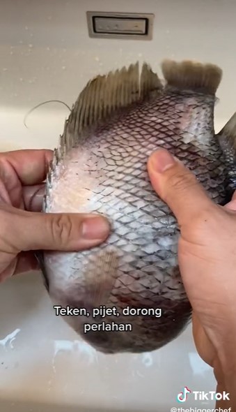 Cara membersihkan sisik ikan tanpa pisau, cuma pakai air panas