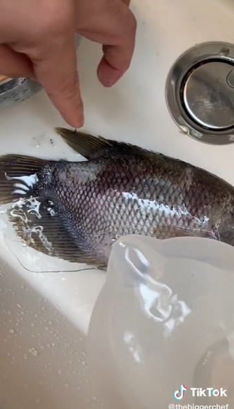 Cara membersihkan sisik ikan tanpa pisau, cuma pakai air panas