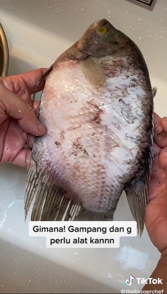 Cara membersihkan sisik ikan tanpa pisau, cuma pakai air panas