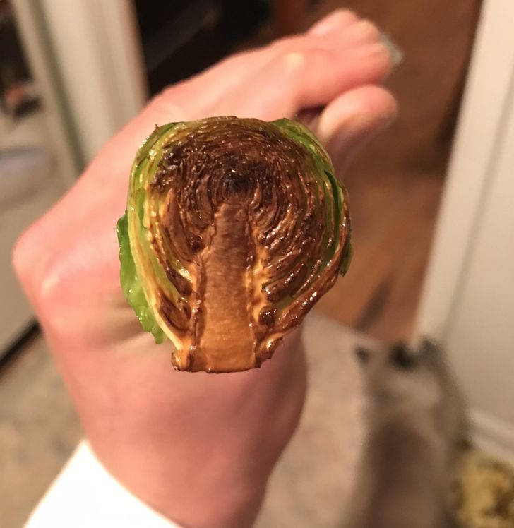 potong sayuran malah ada motifnya © berbagai sumber