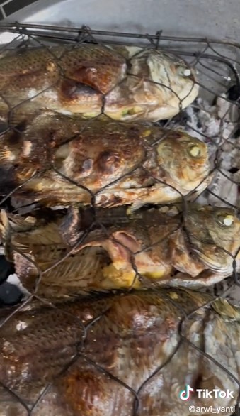 Tanpa alat pemanggang, ini trik jitu bakar ikan pakai arang