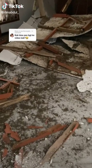 plafon rumah ambruk akibat rayap © TikTok
