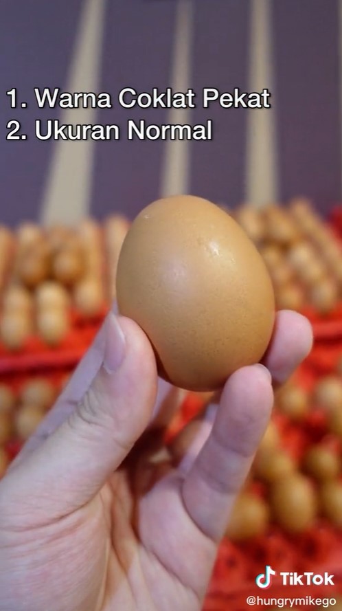 5 Cara memilih telur ayam yang masih segar dan berkualitas baik
