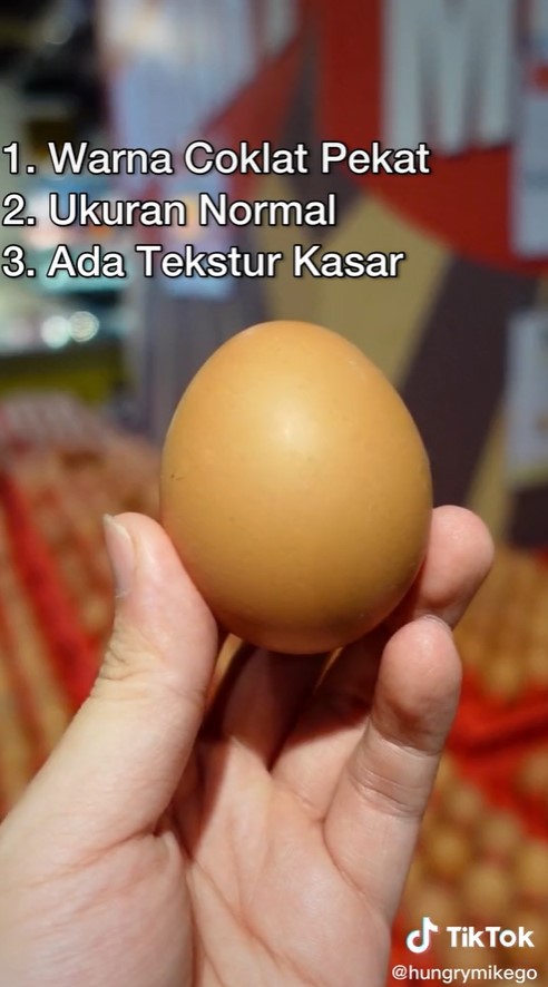 5 Cara memilih telur ayam yang masih segar dan berkualitas baik