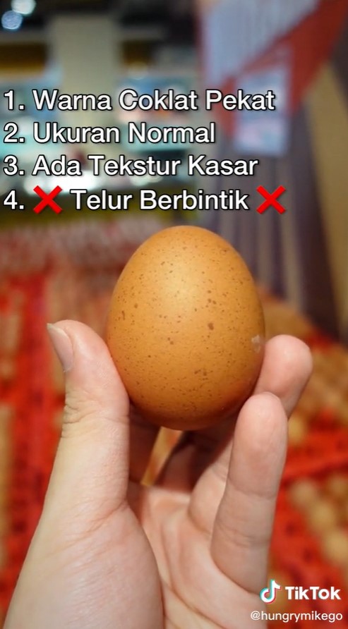 5 Cara memilih telur ayam yang masih segar dan berkualitas baik