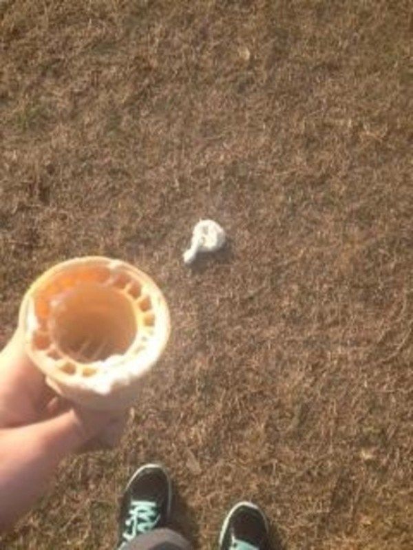 momen apes orang beli es krim © berbagai sumber