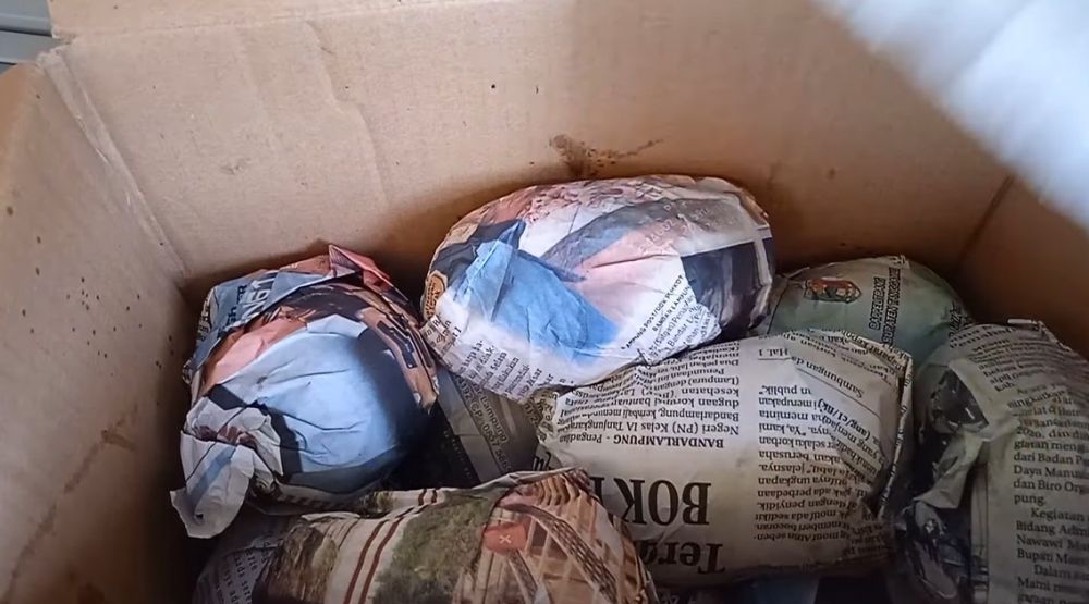 Trik mematangkan buah mangga secara cepat dan alami, mudah dilakukan