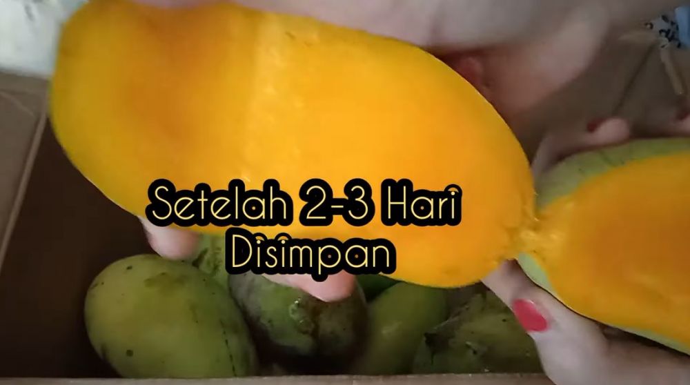 Trik mematangkan buah mangga secara cepat dan alami, mudah dilakukan