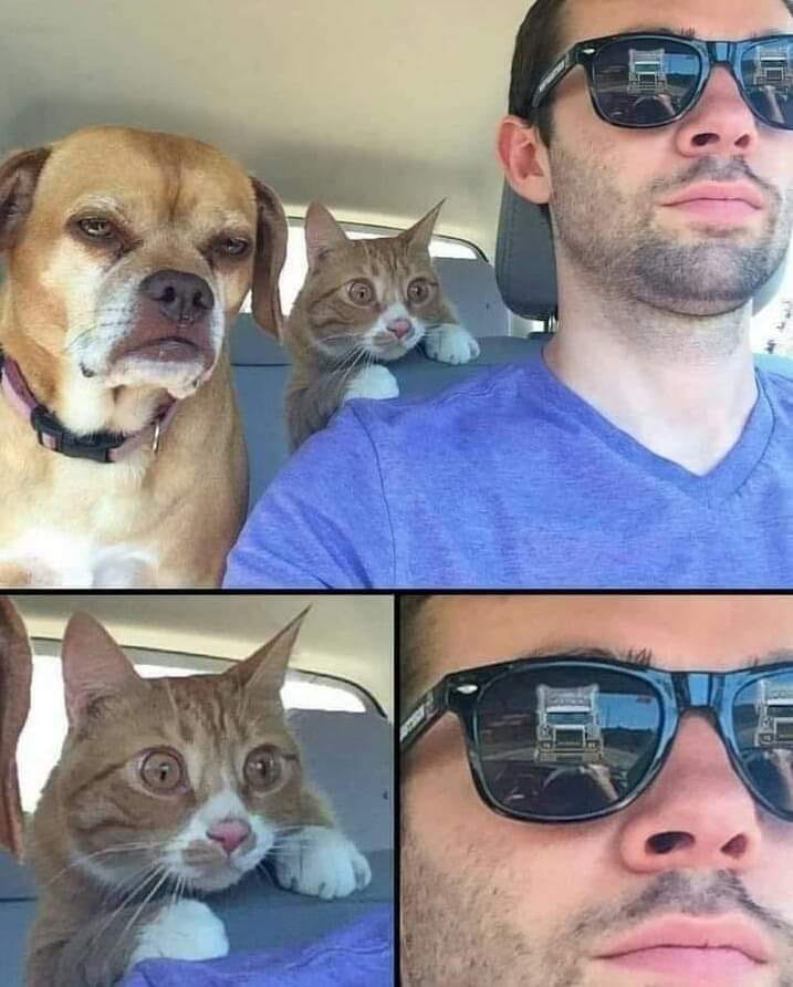 potret tak terduga bikin panik © berbagai sumber