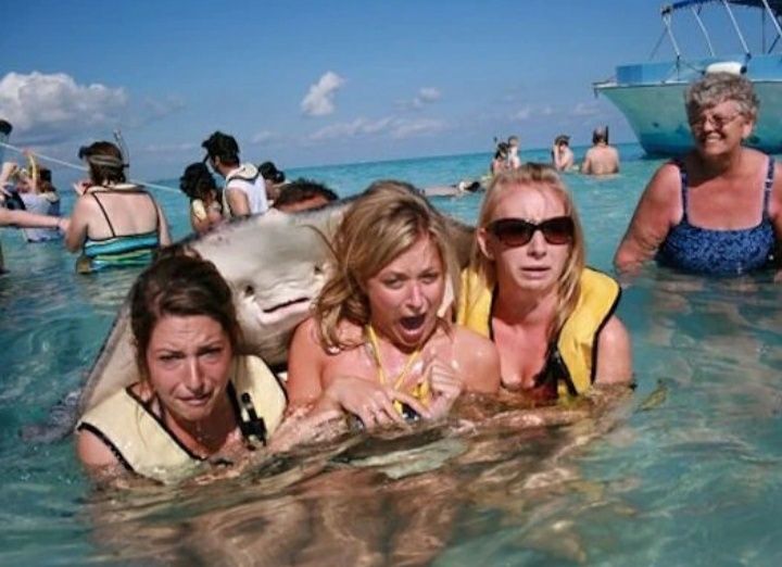 Potret kocak tak terduga saat liburan Berbagai sumber