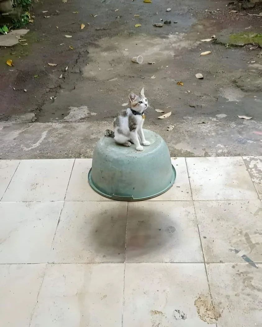 benda kelihatan 3d nyeleneh pol © berbagai sumber benda kelihatan 3d nyeleneh pol © berbagai sumber