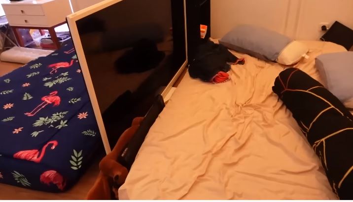 potret rumah baru kenta yamaguchi © YouTube