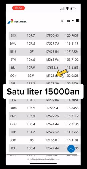 Pria ini bocorkan harga avtur pesawat Jakarta-Malang TikTok