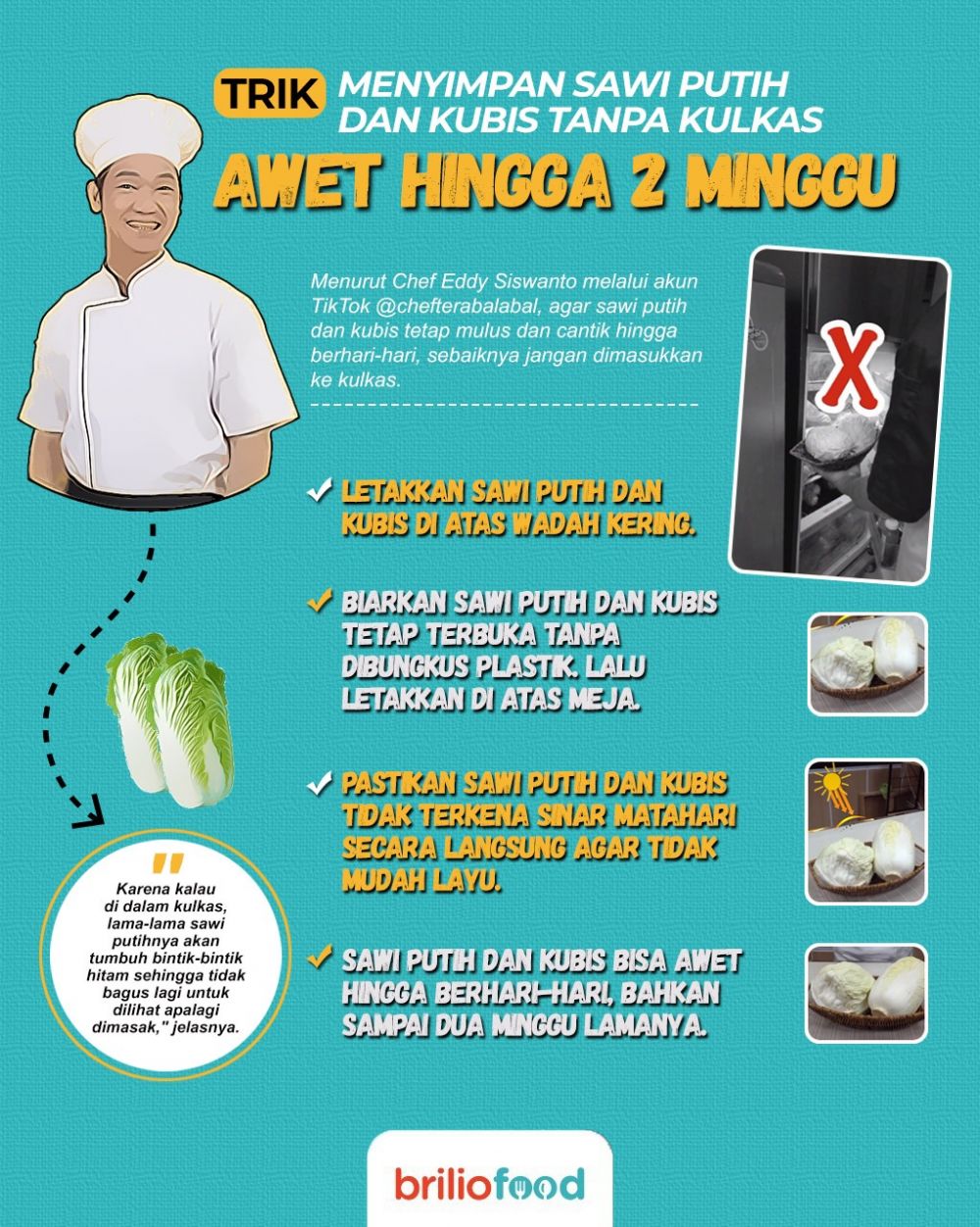 Trik menyimpan sawi putih dan kubis tanpa kulkas, awet hingga 2 minggu
