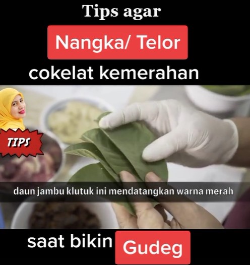 5 Trik masak nangka jadi gudeg agar warnanya cokelat kemerahan