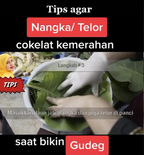 5 Trik masak nangka jadi gudeg agar warnanya cokelat kemerahan