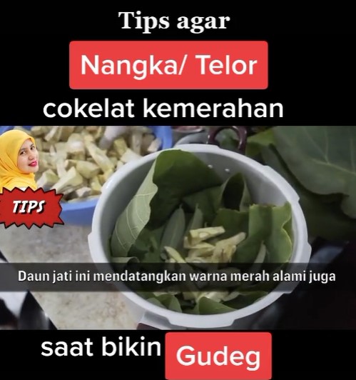 5 Trik masak nangka jadi gudeg agar warnanya cokelat kemerahan