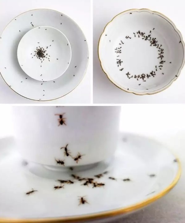 Cangkir desain nyeleneh Berbagai sumber