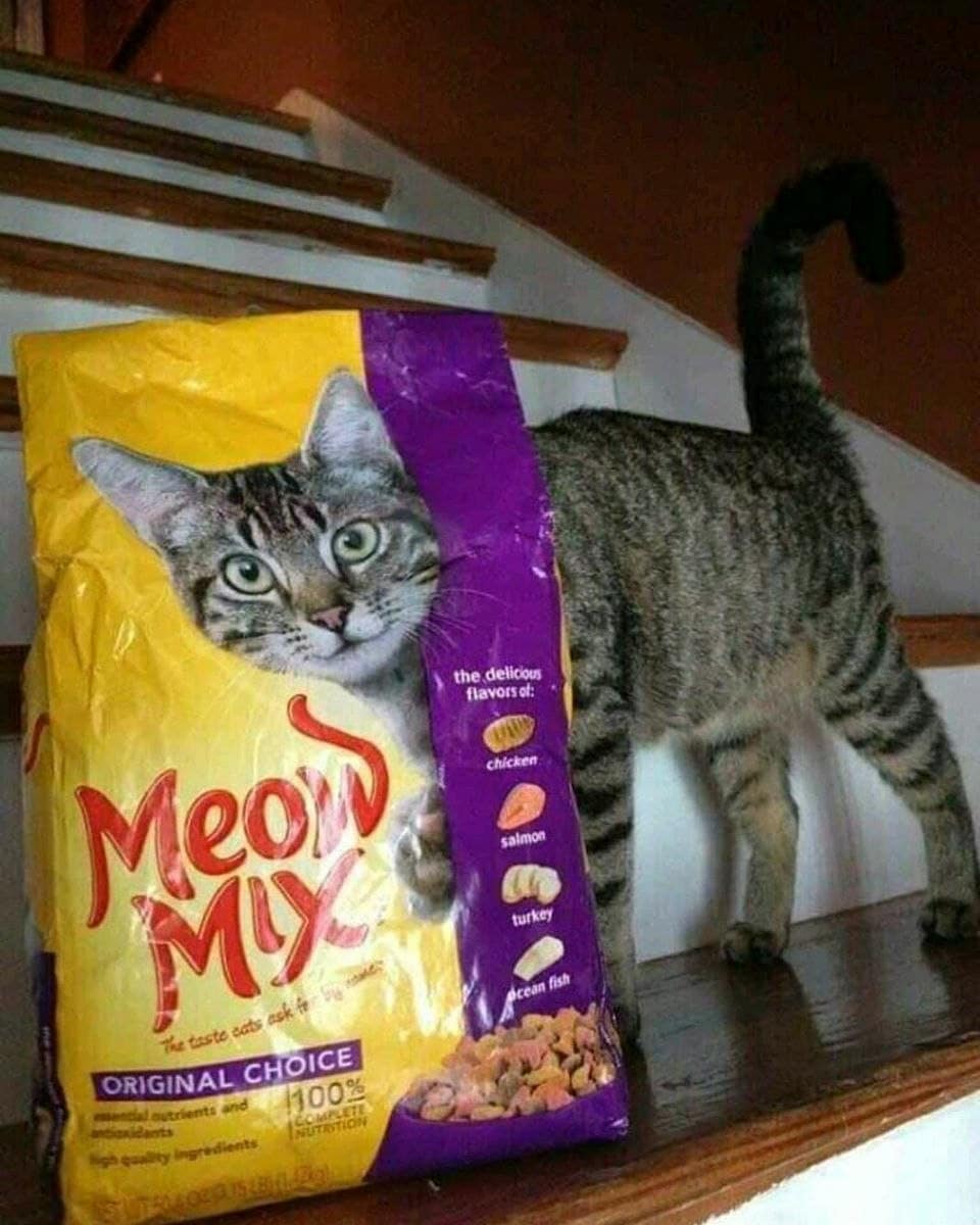 posisi gambar kok bisa pas sama momen © berbagai sumber