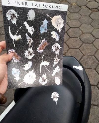 posisi gambar kok bisa pas sama momen © berbagai sumber