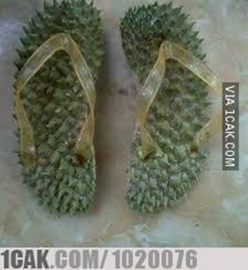 akali benda berduri tapi nyeleneh © berbagai sumber