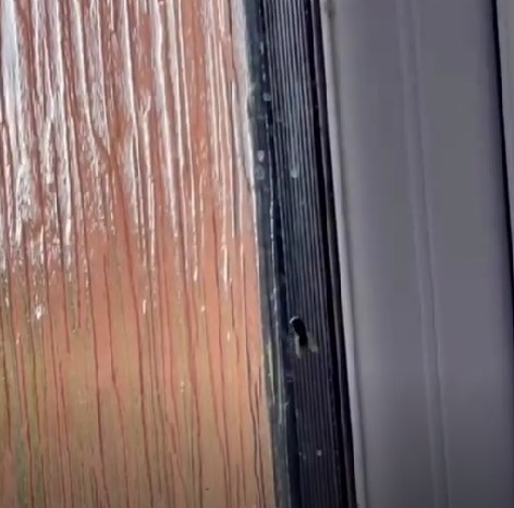 Cara ampuh mengusir lalat hanya pakai tisu Instagram/@lifehack Cara ampuh mengusir lalat hanya pakai tisu Instagram/@lifehack