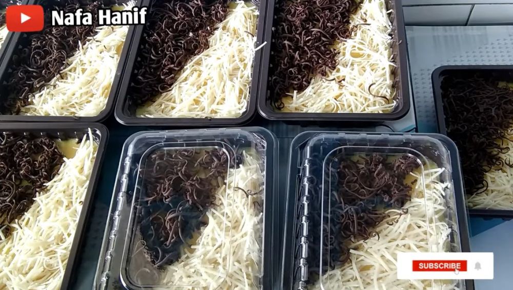 Trik agar puding tidak mudah berair, tahan lama saat disimpan