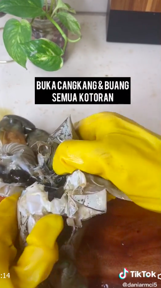 Cara menyimpan kepiting agar segar tahan lama, mudah ditiru