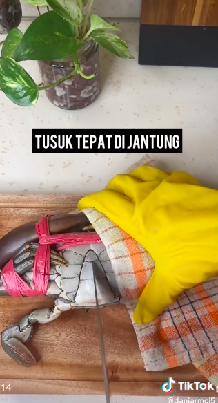 Cara menyimpan kepiting agar segar tahan lama, mudah ditiru
