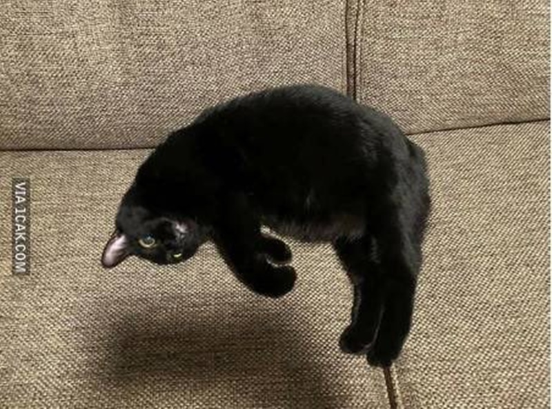 bayangan bikin foto jadi nyeleneh © berbagai sumber