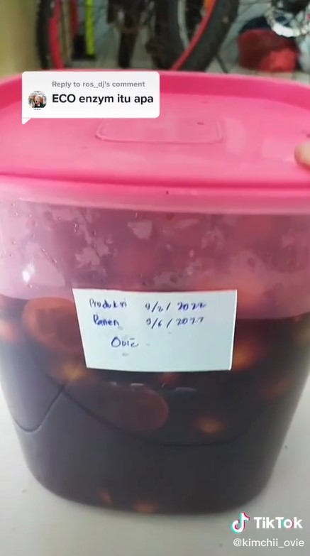 Jangan dibuang, begini cara olah limbah sayur jadi pembersih serbaguna