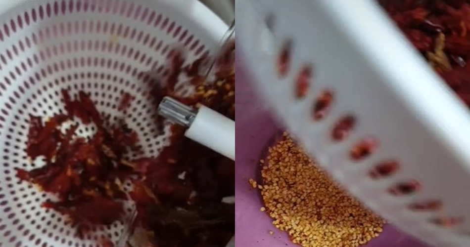 Tak perlu pisau, ini cara cepat memisahkan cabai kering dari bijinya