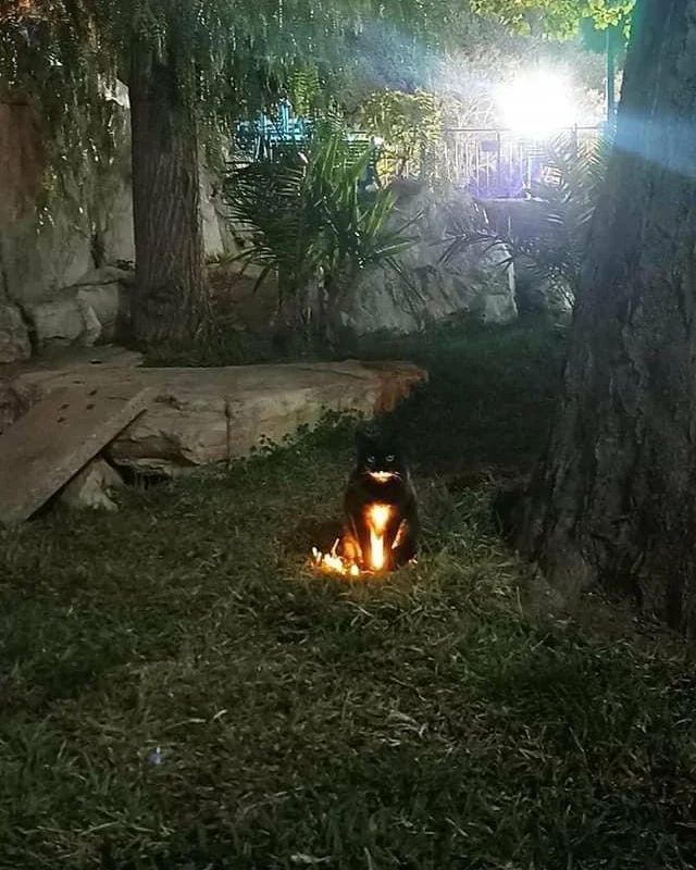 benda kalau di foto pas malam ngagetin © berbagai sumber