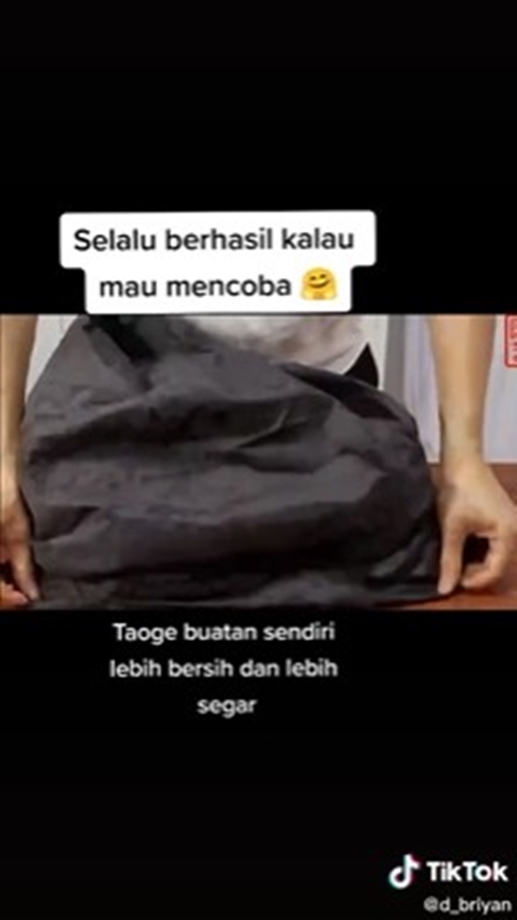 8 Cara tanam tauge dari kacang hijau di rumah, mudah tanpa tanah