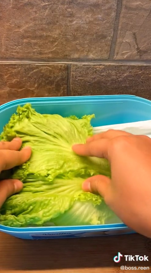 Cara mudah menyimpan selada, tetap segar sampai 2 minggu