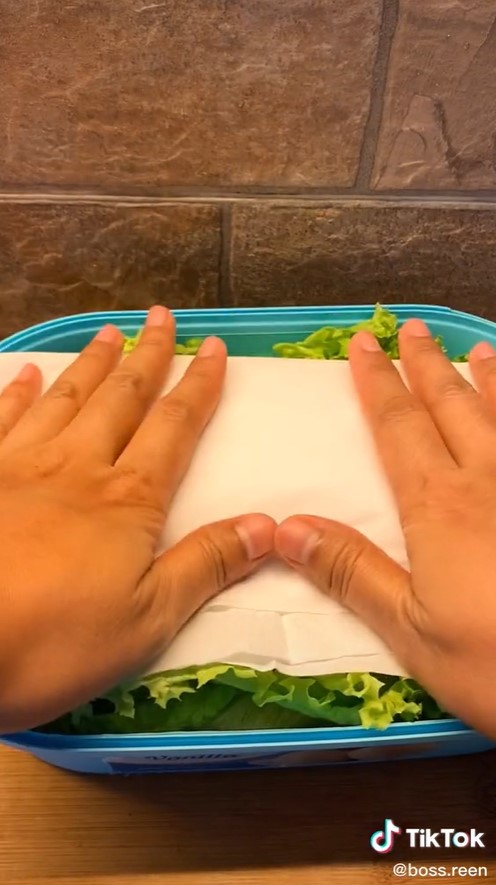 Cara mudah menyimpan selada, tetap segar sampai 2 minggu