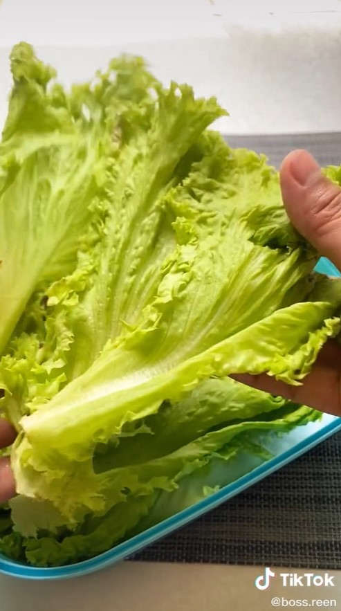 Cara mudah menyimpan selada, tetap segar sampai 2 minggu