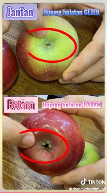 Jarang diketahui, ini cara memilih buah apel yang manis tanpa mencoba