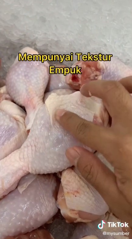 Wajib tahu, begini trik memilih daging ayam yang masih segar