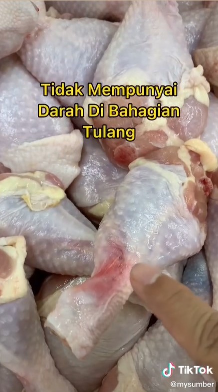 Wajib tahu, begini trik memilih daging ayam yang masih segar