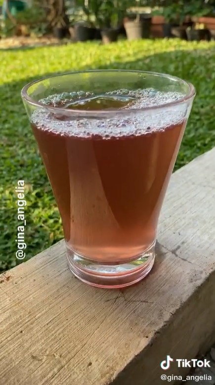 Biji alpukat ternyata bisa diolah jadi minuman diet, begini caranya