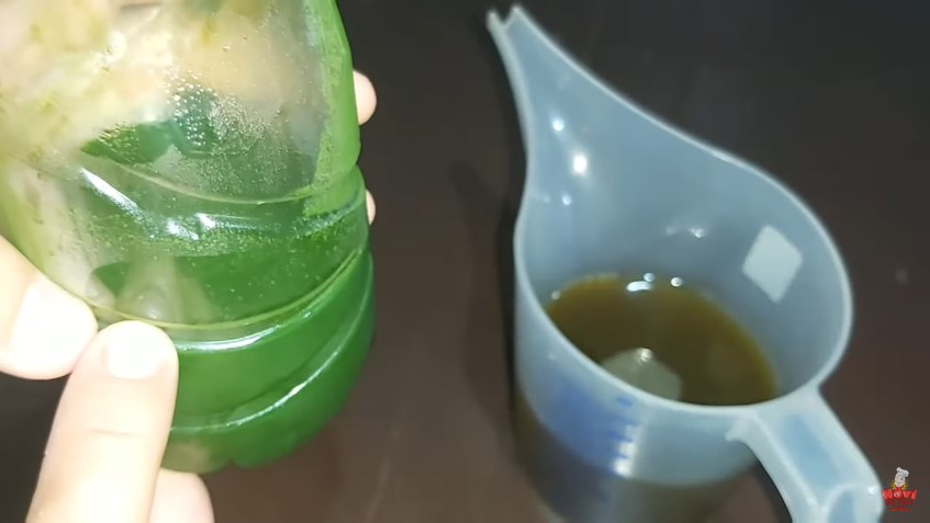 5 Cara bikin endapan daun pandan, praktis dan awet hingga sebulan