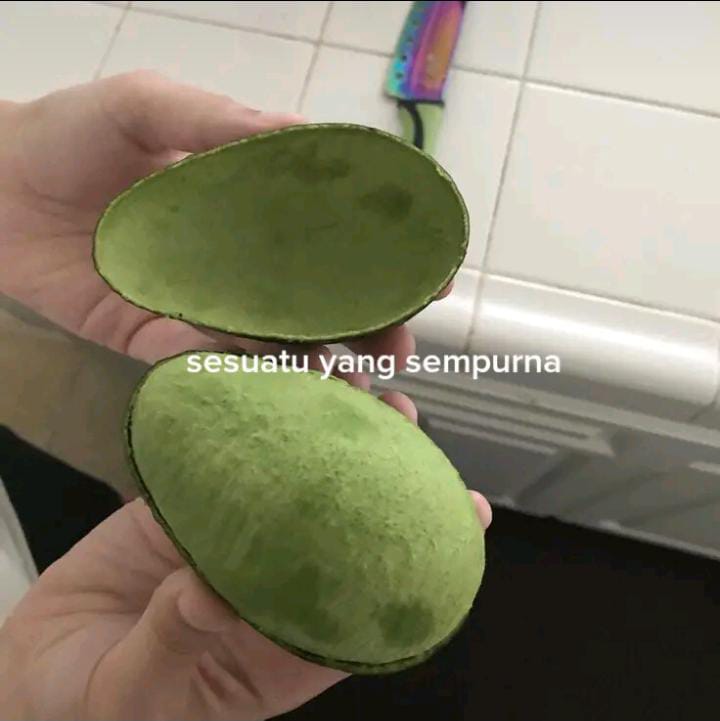 benda terlihat rapi dan sempurna © 2022 berbagai sumber