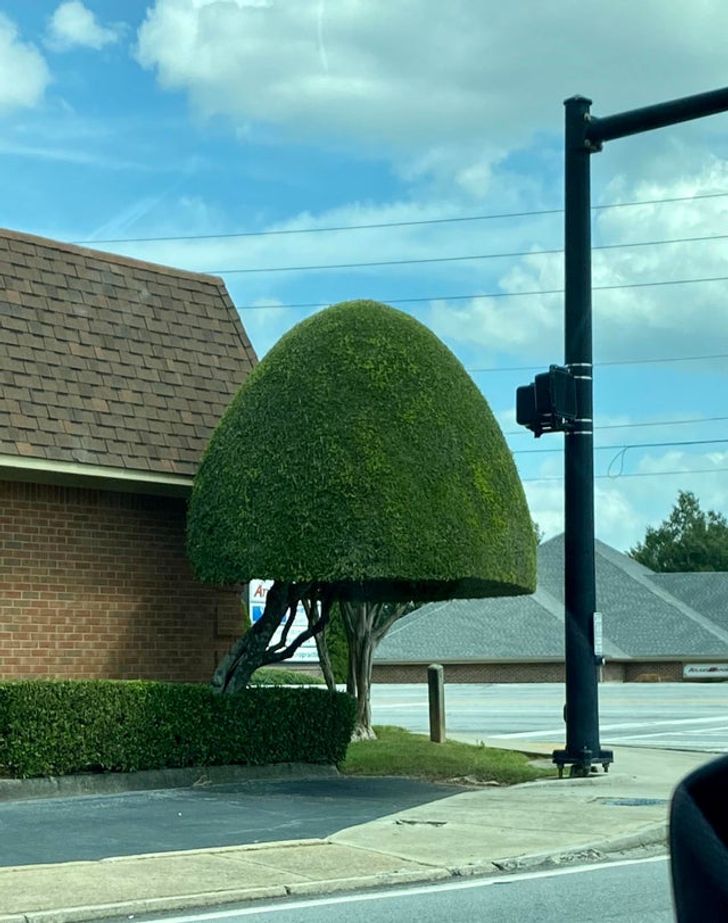 benda terlihat rapi dan sempurna © 2022 berbagai sumber