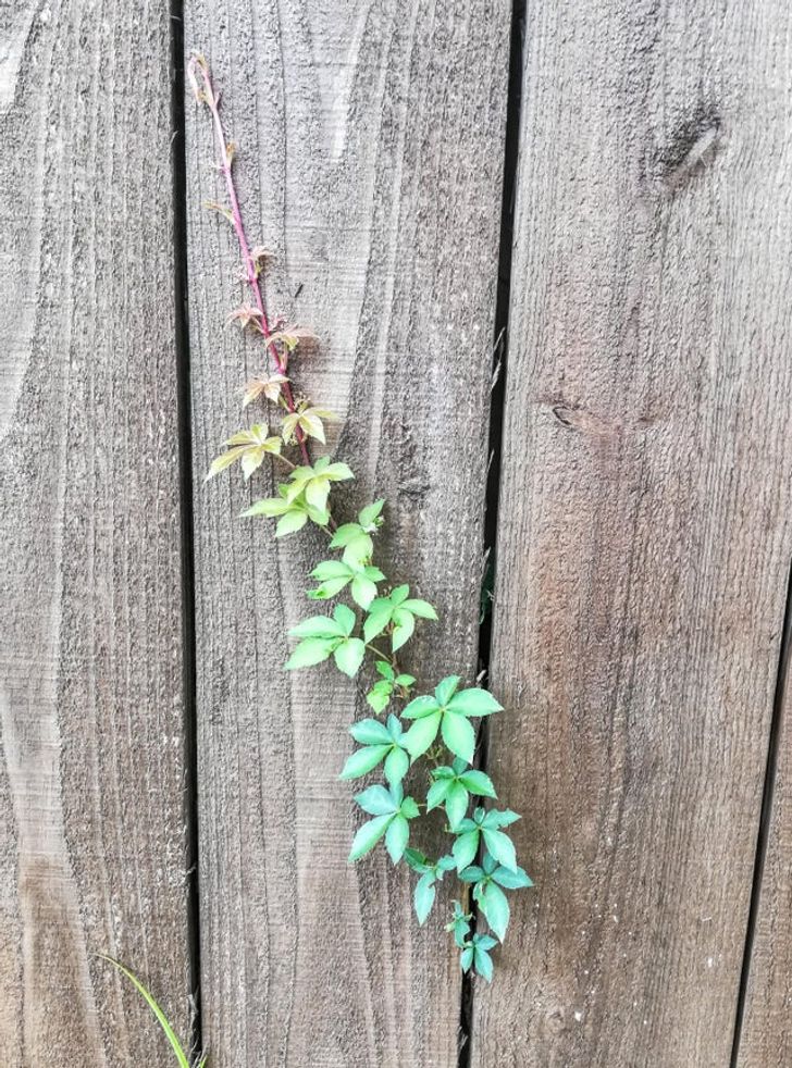 benda terlihat rapi dan sempurna © 2022 berbagai sumber