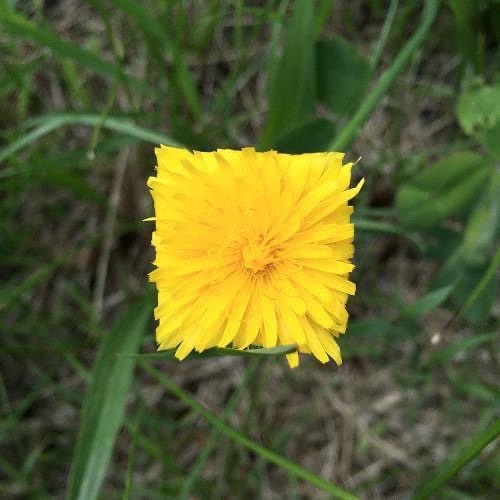 benda terlihat rapi dan sempurna © 2022 berbagai sumber