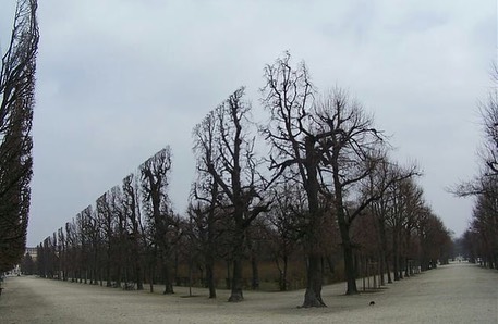 benda terlihat rapi dan sempurna © 2022 berbagai sumber