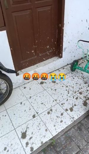 Momen apes pria saat tetangga bangun rumah, motor jadi mandi semen